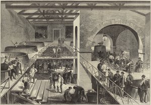 De wijnoogst van Medoc door English School