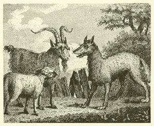 De wolf, het lam en de geit (gravure) door English School