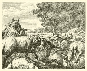 De wolven en de schapen (gravure)