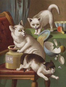 Drie Kitten Dieven