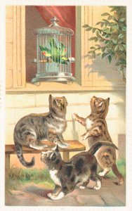 Drie katten die onder een raam zitten door English School