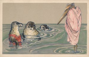 Drie zeehonden kijken naar een pelikaan die in een handdoek is gewikkeld