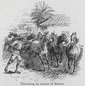 Dorsen met behulp van paarden (gravure) door English School