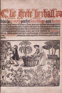 Titelpagina met een tuinscène met figuren door English School