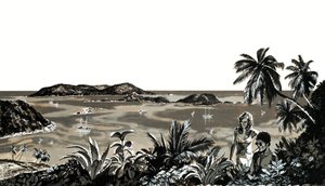 Tobago is een idyllisch eiland in de West-Indië door English School