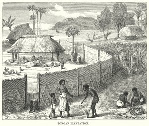 Tongaanse plantage (gravure) door English School
