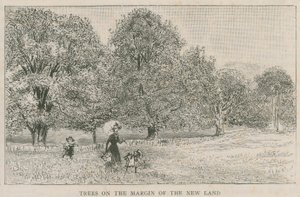 Bomen aan de rand van het nieuwe land