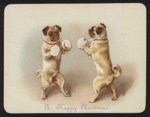 Twee honden die boksen door English School