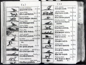 Twee pagina