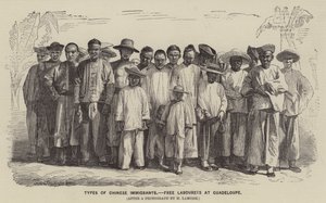 Typen Chinese immigranten, vrije arbeiders in Guadeloupe