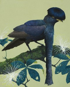 Parapluvogel door English School