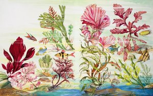 Onderwaterplanten (gouache op papier)
