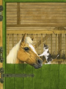 Onbekend paard en speelse kitten door English School