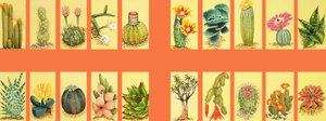 Onbekende montage van cactussen door English School