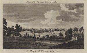 Uitzicht op Chertsey, Surrey (gravure) door English School