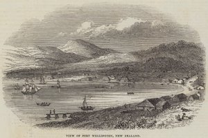 Uitzicht op Port Wellington, Nieuw-Zeeland (gravure)
