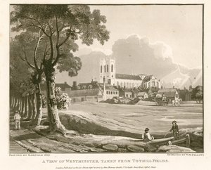 Uitzicht op Westminster vanaf Tothill Fields
