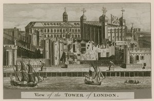 Uitzicht op de Tower of London
