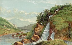 Waterval en vee