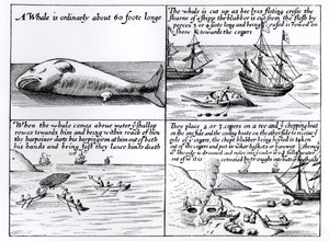 Walvisvangst bij Spitsbergen in 1611 door English School