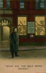 Wat zeggen de wilde vrouwen? door English School