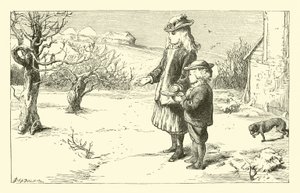 Wanneer de sneeuw op de grond ligt