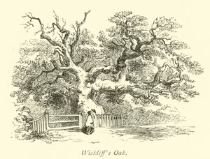 Wickliffs Eik door English School