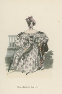 Wiener Zeitschrift, Juni 1834