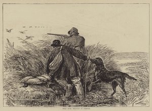 Wilde Eenden Jagen in Norfolk