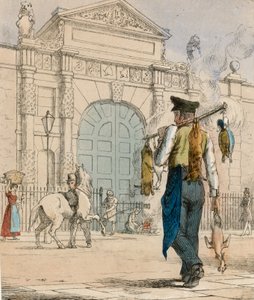 Wilde eend, konijn en gevogelte