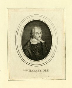 William Harvey door English School