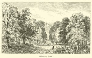 Windsor Park