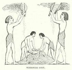 Koren wannen (gravure) door English School