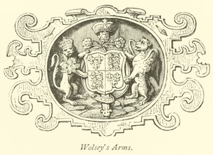 Wolseys Wapens