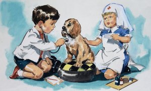 Jonge Dierenartsen