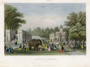Dierentuin, Regents Park