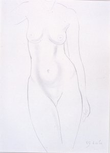 Torso