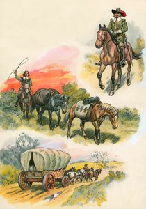 Paarden