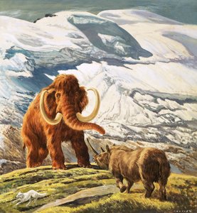 Mammoet ontmoet Neushoorn (gouache op papier)
