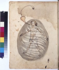Volledige pagina: duiker, ca. 1430 (tekening met gekleurde pen)
