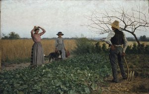 In het aardappelveld