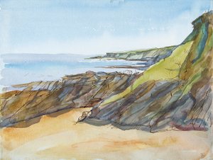 Rotsachtige Strand op de Roseland