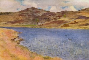 Loch Howie of Wee