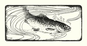 Zalm gevangen