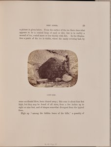 Een vuilkegel door Ernest H. Edwards