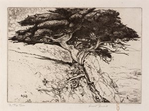 De waaierboom door Ernest Haskell