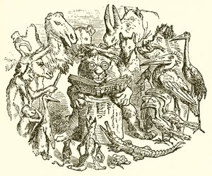 Aesopus