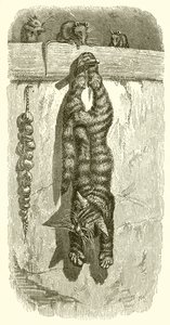 De Kat en de Muizen
