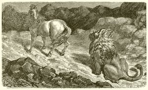 Het Paard en de Leeuw