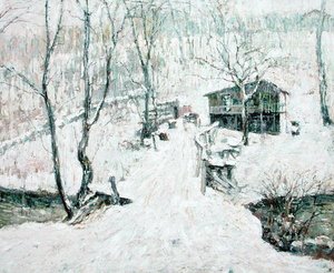 Landschap in de winter